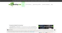 Desktop Screenshot of ceviconsulting.com